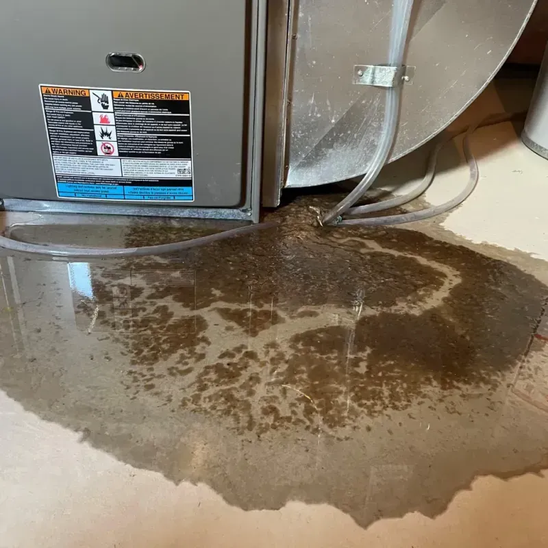 Appliance Leak Cleanup in Saint Marys, WV